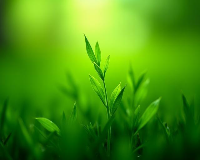 Foraoise glas ag léiriú inbhuanaitheacht